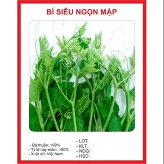 Hạt giống Bí Siêu Ngọn 10 hạt