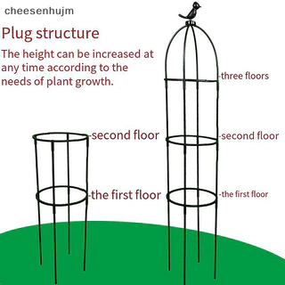 Cs 1 Bộ Cây Leo Trellis Vườn Hỗ Trợ Lồng Cho Hoa Cây Hỗ Trợ Khung Trellis Leo DIY Hoa Chậu Đứng VN