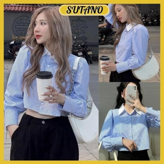 Áo sơ mi kẻ croptop cổ bẻ trắng tay bồng trẻ trung hottrend 2024 A693 SUTANO