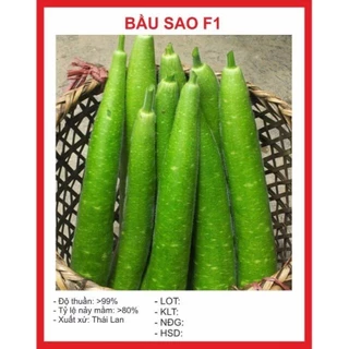 Hạt giống Bầu sao dài F1)