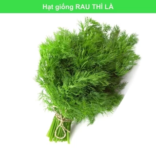 Túi zip 20g Hạt giống RAU THÌ LÀ - RAU GIA VỊ _TNX