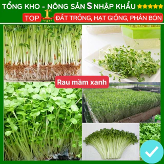 Hạt giống rau mầm xanh năng suất cao F1 dễ trồng kháng bệnh tốt tỉ lệ nảy mầm cao [gói 300 hạt]