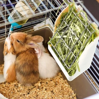 Dalee Thỏ Hay Ăn Chinchilla Hamster Hộp Đựng Thực Phẩm Treo Nhựa Treo Tường Giá Đỡ Cỏ