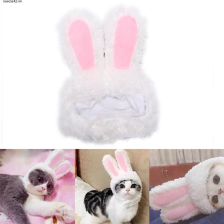 Toxicla42con thỏ xinh xắn - mũ tai cho mèo của bạn