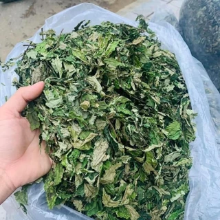 Lá đắng rừng Tây Bắc, lá cơm kìa chữa đau dạ dày (1kg). Lá rau đắng khô nấu canh đắng của người dân tộc vùng cao