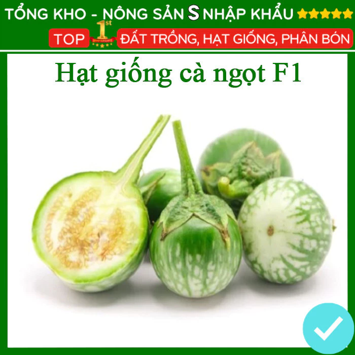 Hạt giống cà ngọt dễ trồng dễ chăm sóc kháng sâu bệnh [1g]