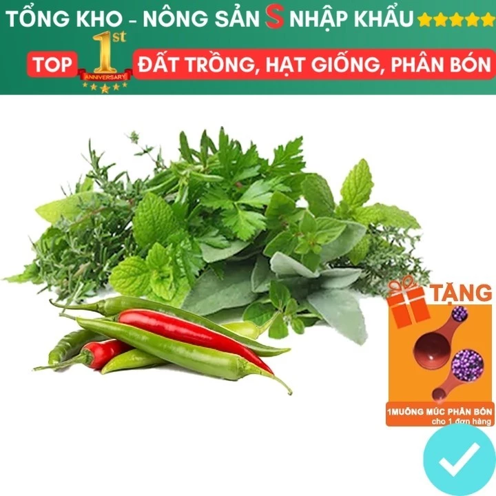 Hạt Giống Gia Vị F1 Nhiều Loại, Trồng Chậu, Dễ Trồng, Chịu Nhiệt, Trồng Quanh Năm, Năng Suất Cao Dễ Thu Hoạch