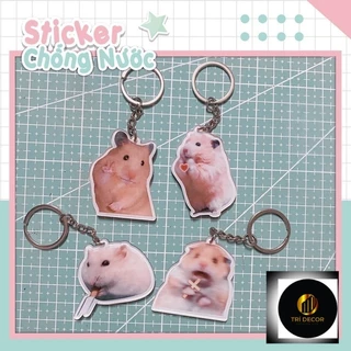 Móc khoá meme hamster vui nhộn - móc khoá mica hai mặt