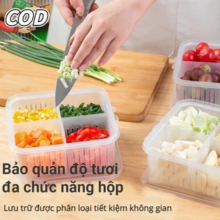 Tủ Lạnh Giòn Mới Thực Tế Lớn Bốn Ngăn Hành Lá Giòn Có Nắp Hộp Đựng Hành Củ Hành Gừng Tỏi Bốn ô/sáu ô