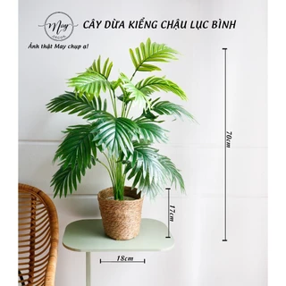 Cây giả, Dừa Kiểng 18 lá trang trí nhà cửa