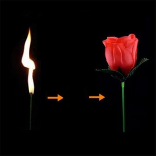 Torch To Flower-Torch To Rose - Fire Magic Trick Flame Appearing Flower Professional Magician Bar Đạo cụ ảo ảnh