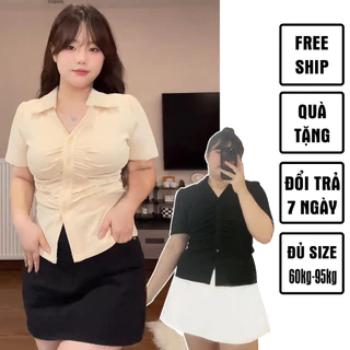 Áo thun polo bigsize 60kg - 95kg nhún ngực chất thun gân