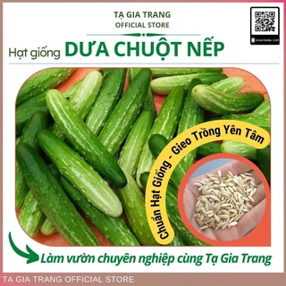 Hạt giống Dưa chuột nếp - Shop hạt giống Tạ Gia Trang __GENFARM