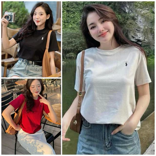 Áo thun babytee nữ thêu hình ngựa, áo phông baby tee cổ tròn tay ngắn chất cotton zip nhiều màu