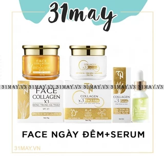 Combo Kem Face Ngày Đông Trùng Hạ Thảo + Face Đêm Đông Anh+ Serum Collagen X3 Mới