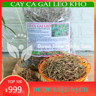 1Kg Cà gai leo Hoà Bình (sao vàng hạ thổ)