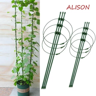 Alison Leo Cây Nho Giá Sáng Tạo 3 Thanh Và 3 Nhẫn Hoa Đứng Nhẫn Đồ Dùng Làm Vườn Nhựa Xanh Trang Trí Trellis Giá Đỡ