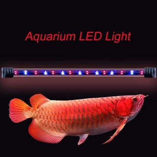 Đèn LED bể cá bể cá RGB, Đèn LED bể cá Lampu cho cây trồng, Đèn LED xanh đỏ WRGB Đèn bể cá