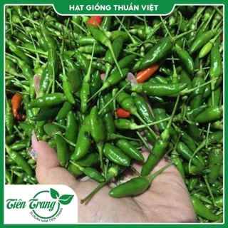 Hạt giống Ớt Xiêm thơm cay TN