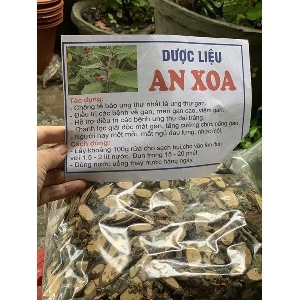 1kg An Xoa Hoà Bình hoa tím (Sao vàng hạ thổ, vụ mới khô thơm) giúp mát gan, giải nhiệt, hạ men gan, xơ gan