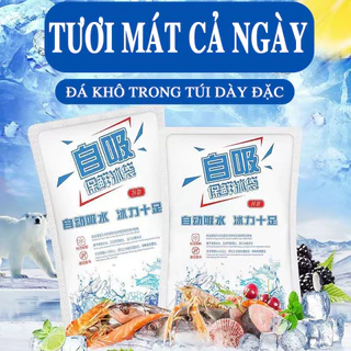 Túi đá gel khô bảo quản thực phẩm, an toàn, tiện lợi - Không chảy nước - Giữ lạnh thực phẩm, đồ ăn