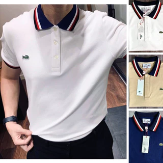 Áo Polo Nam Cá Sấu Cotton Trơn Cộc Tay Có Cổ, Áo Thun Nam Cotton Basic Trẻ Trung Thoáng Mát Lịch Sự Công Sở Đẹp