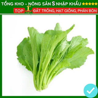 Hạt giống cải xanh mỡ nảy mầm nhanh F1 cải canh tỉ lệ nảy mầm cao dễ trồng dễ chăm sóc [20gr]