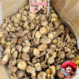 Nấm đông cô khô SaPa, nấm cúc loại 1 (1kg) Đặc sản nấm hương rừng Tây Bắc, nấm đông cô Sa Pa, nấm hương rừng xiên que