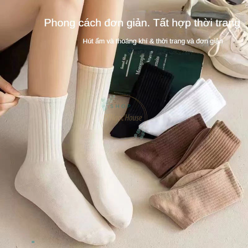 [HÀNG CÓ SẴN] Tất Cao Cổ, Vớ Cao Cổ Nữ  Nhiều Màu Dễ Thương Vải Cotton Co Giãn Phong Cách Nhật Bản