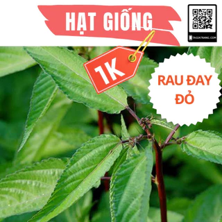 Deal 1K - 100 Hạt giống rau đay đỏ - Tập làm vườn cùng Tạ Gia Trang __GENFARM