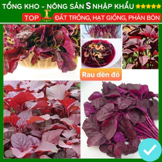 Hạt giống rau dền đỏ tỉ lệ nảy mầm cao F1 kháng bệnh dễ trồng dễ chăm sóc rau ngon