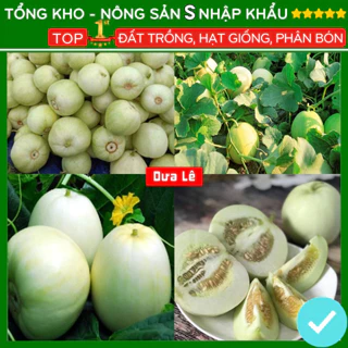 Hạt giống dưa lê F1 dễ trồng kháng sâu bệnh năng suất cao