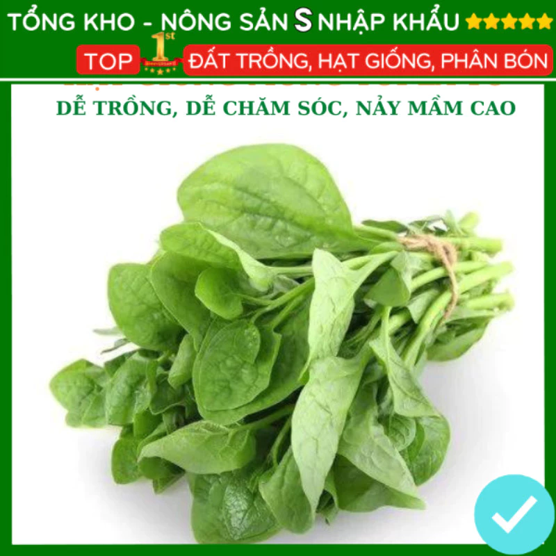 Hạt giống mồng tơi lá to kháng sâu bệnh F1 dễ trồng dễ chăm sóc [200g]