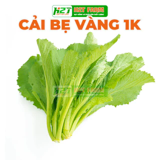 [DEAL 1K] 50 Hạt giống cải bẹ vàng H2T FARM