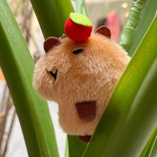 Capybara Sang Trọng Móc Khóa Kawaii Anime Lông Tơ Đồ Chơi Thú Nhồi Bông Capibara Búp Bê Sang Trọng Lợn Nước Quà Tặng Sinh Nhật Đồ Chơi greiwevn greiwevn