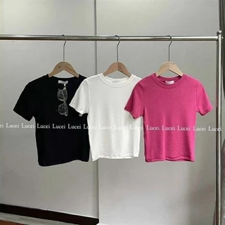 Set 3 áo cộc nữ size MÁO TRƠN DÁNG CROPTOP DỄ PHỐI BASIC - CO GIÃN 4 CHIỀU s649