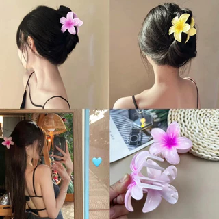 Thời Trang Hàn Quốc Mùa Hè Dopamine Gradient Acrylic Plumeria Kẹp Tóc Nữ Phụ Kiện Tóc