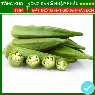 Hạt giống đậu bắp cao sản F1 dễ trồng dễ chăm sóc ra trái đều kháng sâu bệnh [gói 50 hạt]