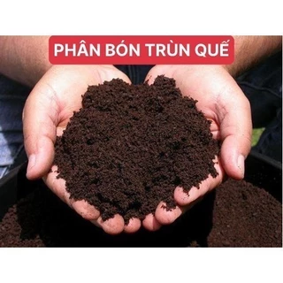 Phân bón trùn quế hữu cơ nguyên chất bổ sung dinh dưỡng cải tạo đất cây trồng_Bạn với nhà nông _Phạm  Toại __Chuẩn giống