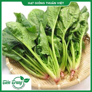 Hạt giống Cải Bó Xôi (rau Chân Vịt)- R02