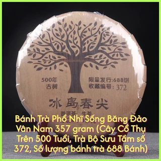 Bánh Trà Phổ Nhĩ Sống Băng Đảo Vân Nam 357 gram (Cây Cổ Thụ Trên 500 Tuổi, Trà Bộ Sưu Tầm)