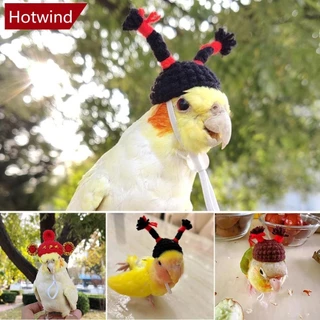 Hotwind Thú Cưng Hamster Budgerigar Cockatiel Hoa Mẫu Đơn Vẹt Mũ Chim Len Móc Dệt Kim Vẹt Mũ Động Vật Nhỏ Mũ Mini Chim Đồ Chơi A2Q9