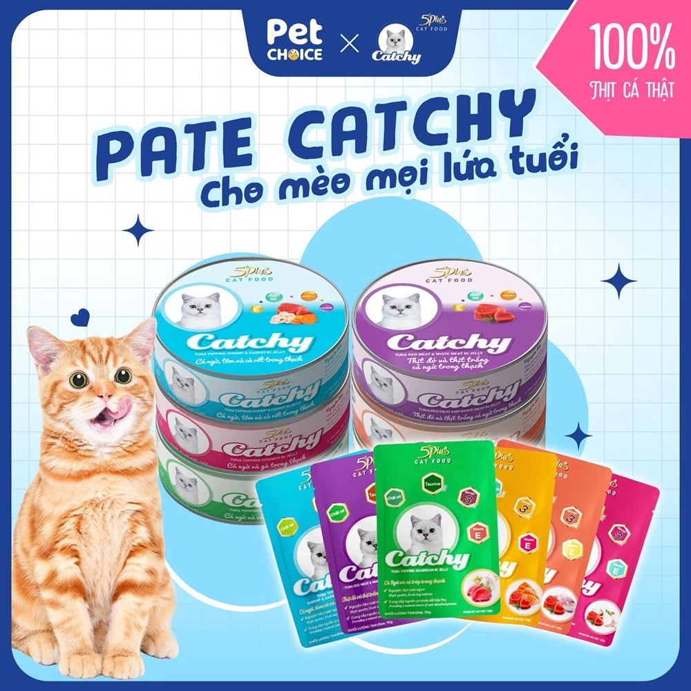 [Chính hãng] Pate Catchy 70g và 160g, pate trong thạch cho mèo mọi lứa tuổi đầy đủ hương vị thơm ngon