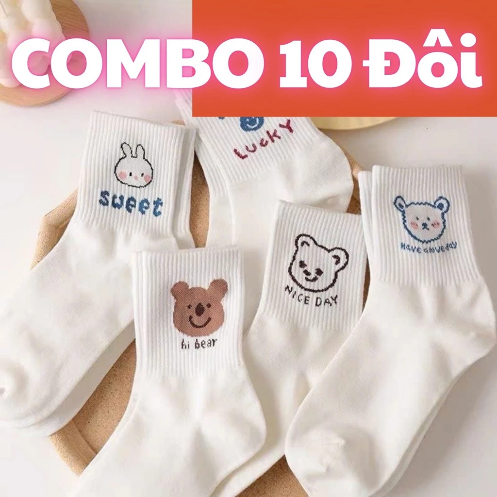 Combo 10 Đôi Tất Unisex Cao Cổ Lucky, Vớ Contton Thoáng Khí Kháng Khuẩn Gia Dụng Số 1 Việt Nam