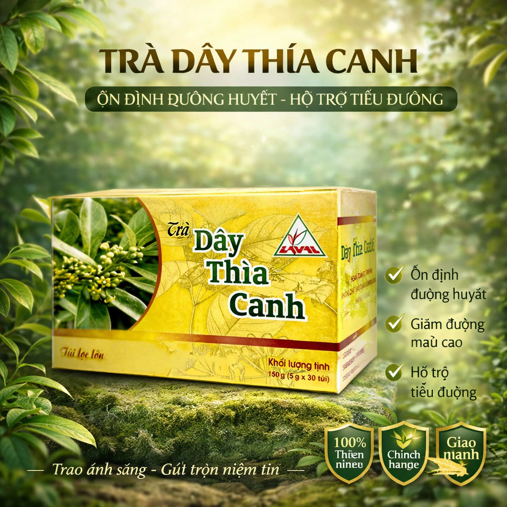 Trà Dây Thìa Canh Lava túi lọc dùng cho người tiểu đường tuýp 1, 2 - Hộp 30 túi