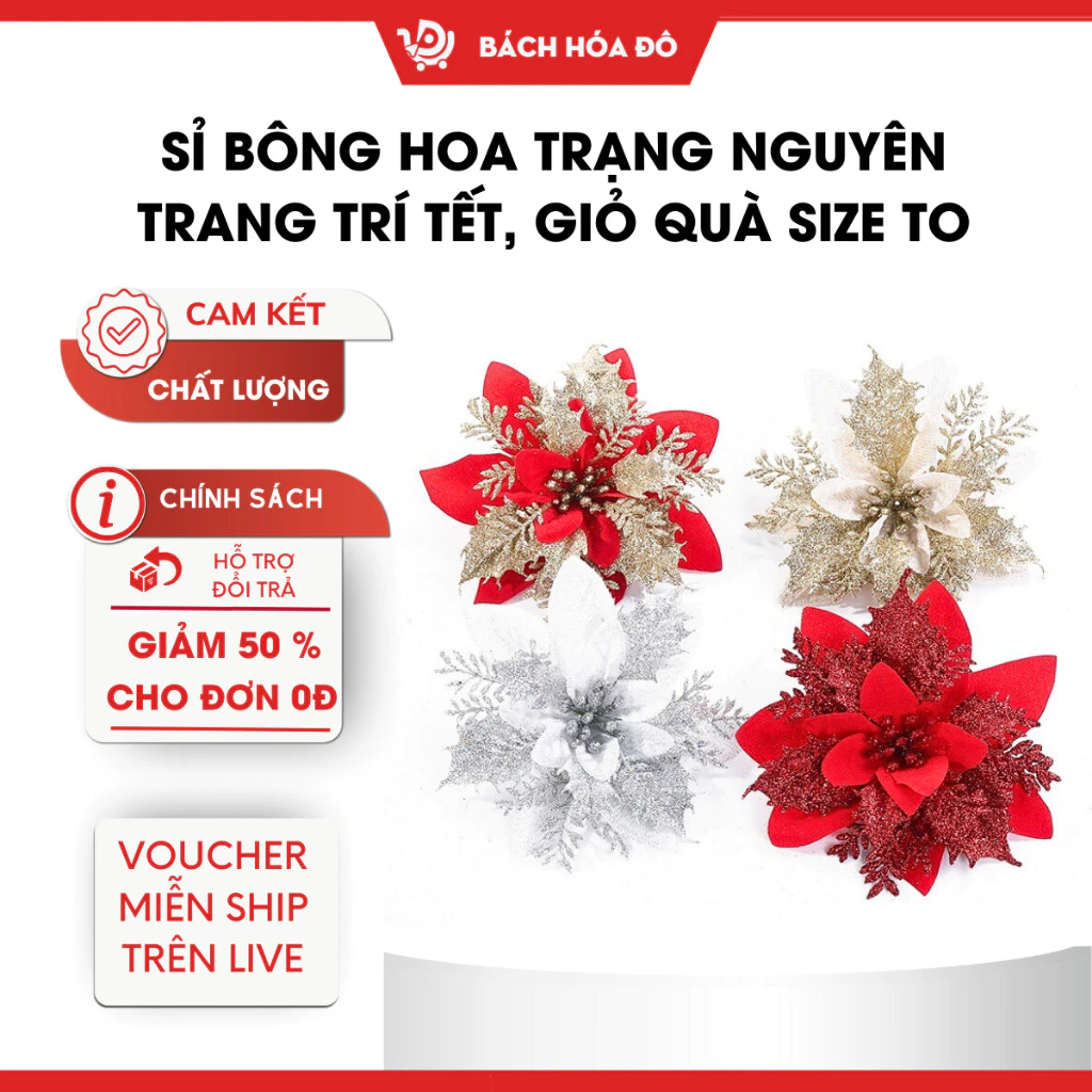 Sỉ Bông hoa trạng nguyên làm oản,trang trí tết, trang trí giỏ quà size to !