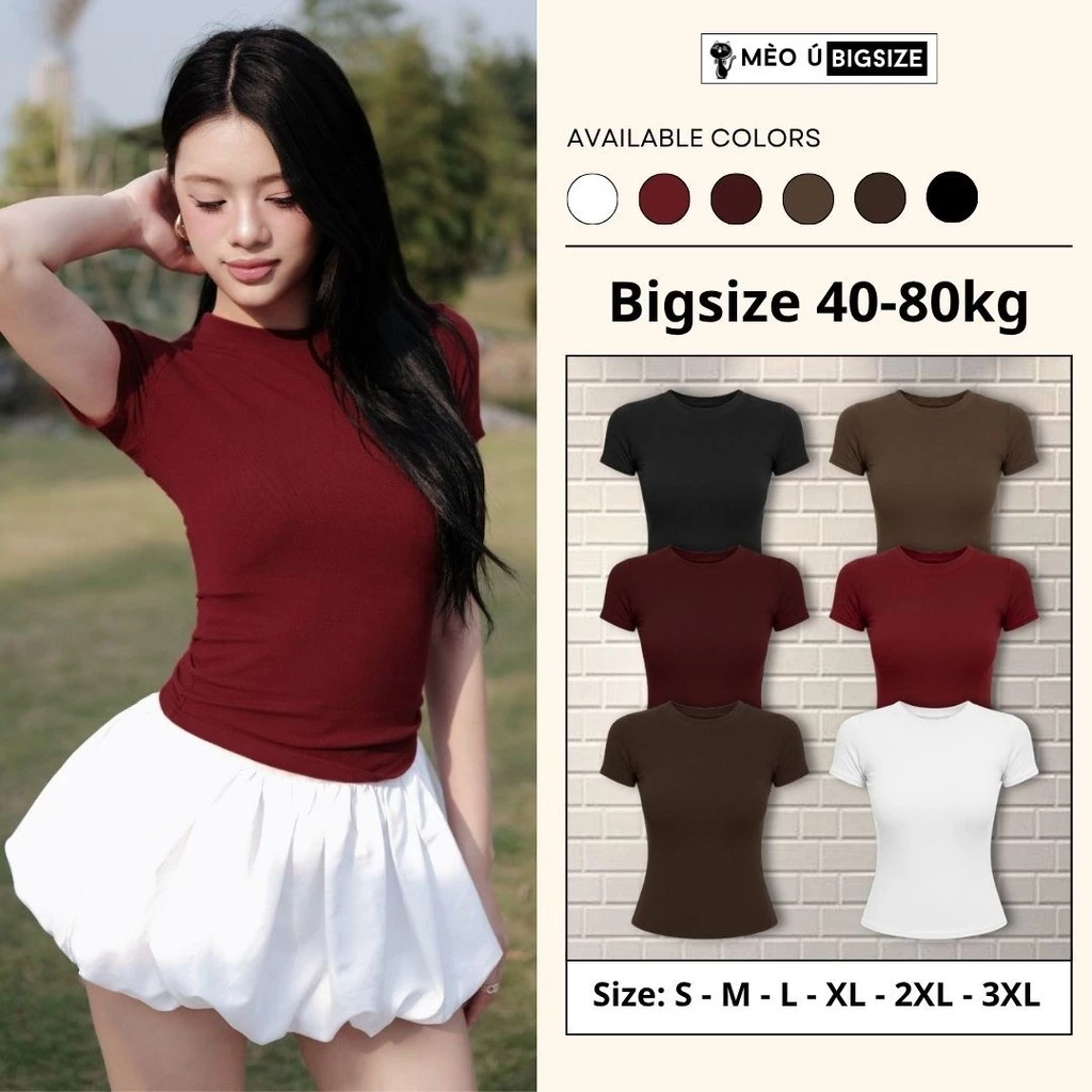 Áo thun nữ BIGSIZE Mèo Ú áo thun cổ tròn cộc tay ôm body co giãn 4 chiều dáng basic dễ phối đồ 395