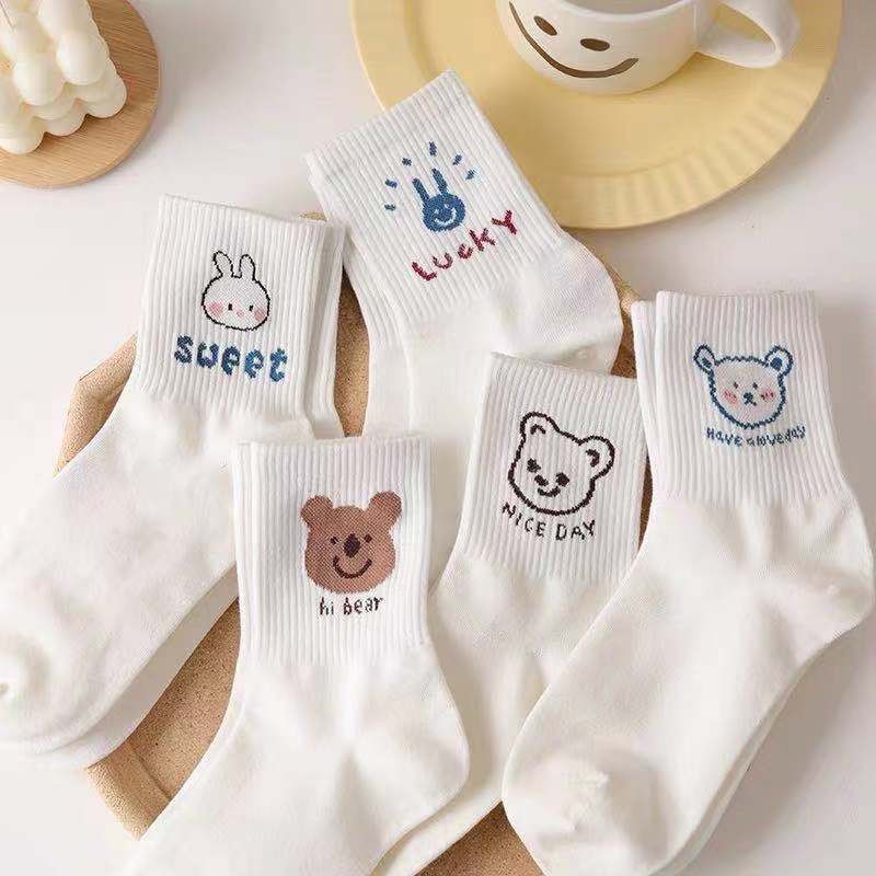 Set 5 đôi set 10 đôi Tất gấu nữ cổ trung