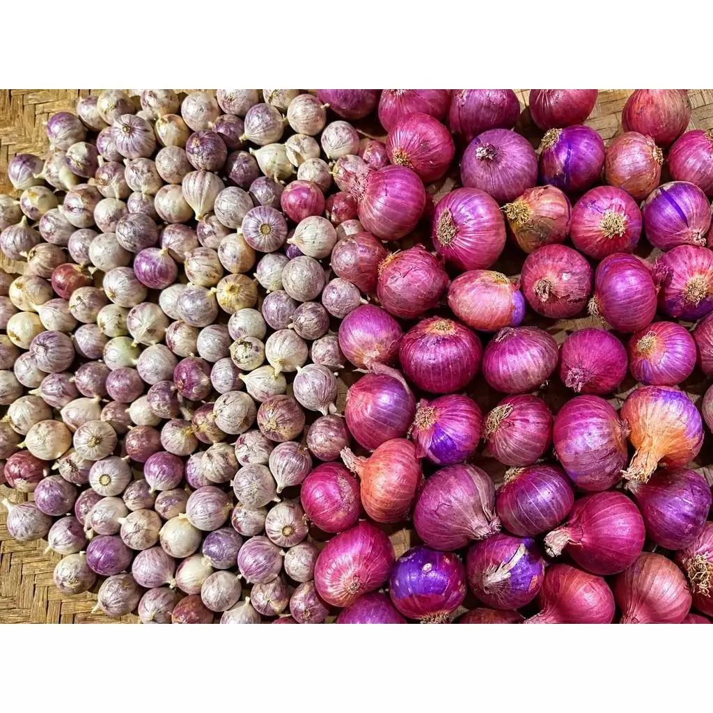 (BÁN CHẠY) TỎI CÔ ĐƠN Nhỏ KHÔ -1KG TẶNG 500G HÀNH TÍM