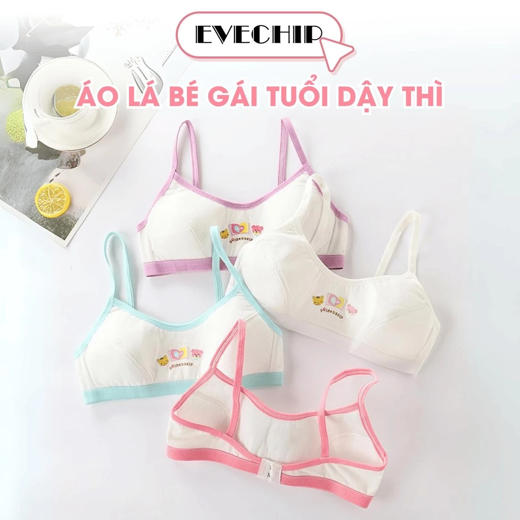 Áo Lá Bé Gái Tuổi Dậy Thì, Áo Lót Học Sinh Có Phom Ngực Họa Tiết Hoạt Hình Dễ Thương EVECHIP B528